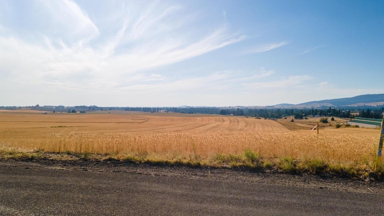 12206 South Jackson Road Mica, WA 99023 - Photo 6 of 19