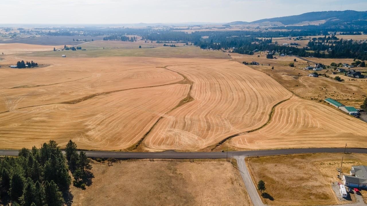 12206 South Jackson Road Mica, WA 99023 - Photo 7 of 19