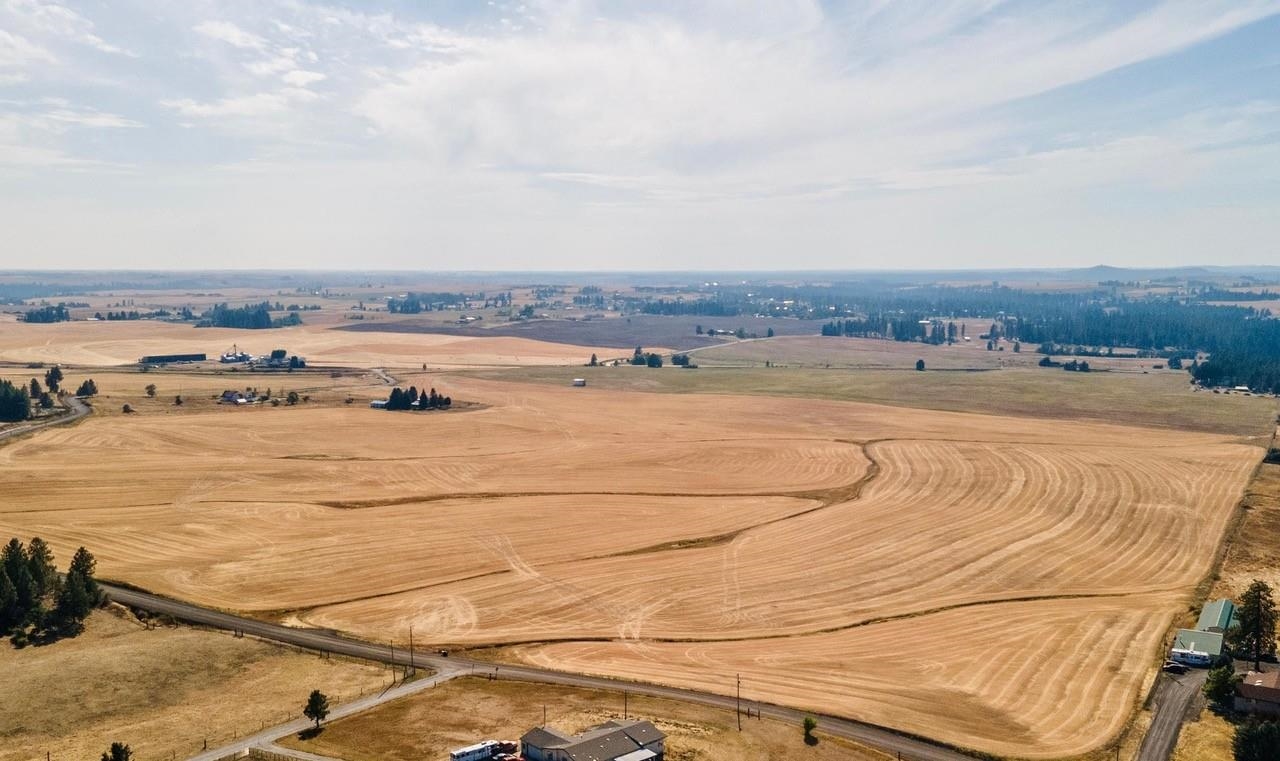 12206 South Jackson Road Mica, WA 99023 - Photo 8 of 19