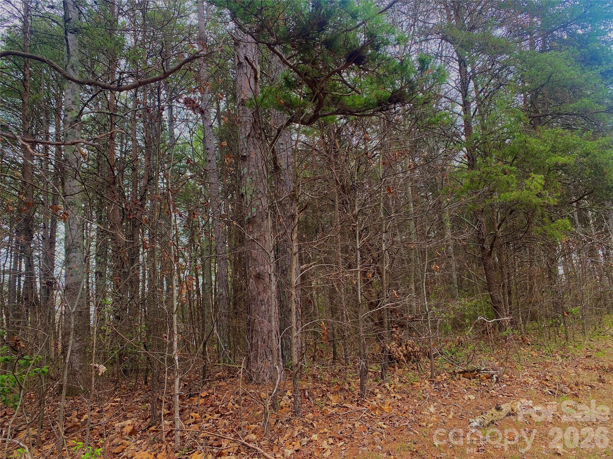 302 West Lewis Ferry Road Statesville, NC 28677 - Photo 2 of 2 a view of a yard with trees