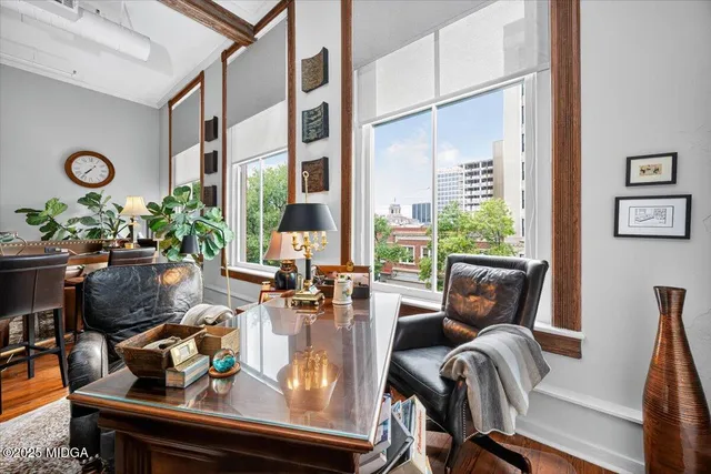 a living room with furniture and a potted plant