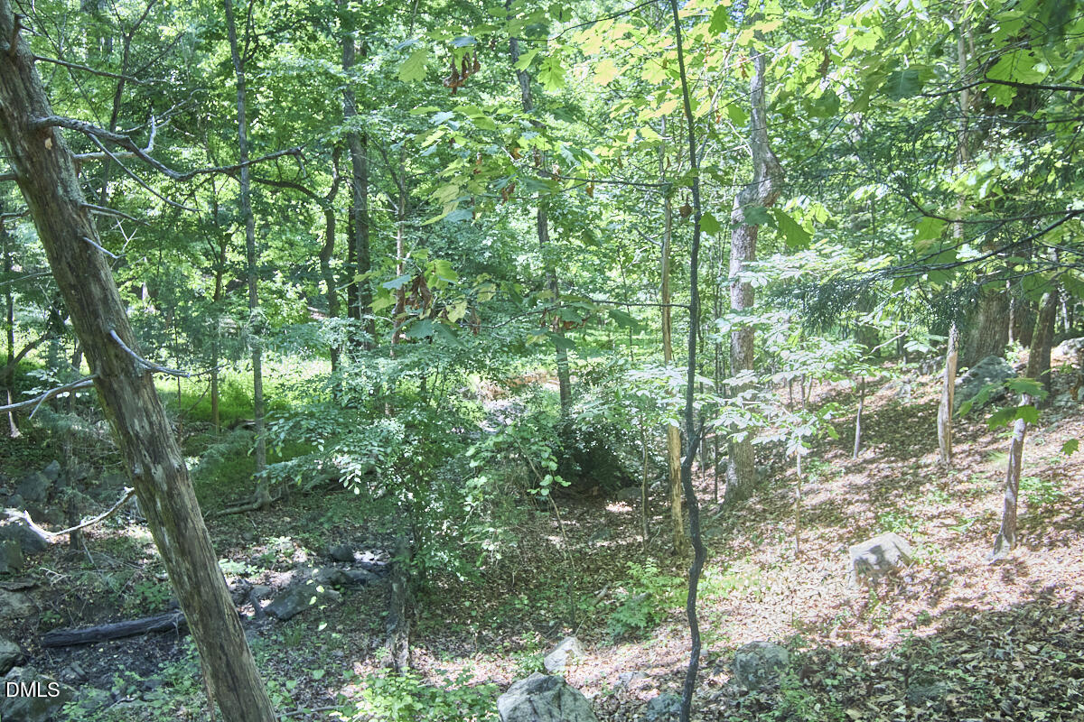 4204 Kerley Road Durham, NC 27705 - Photo 34 of 34 a view of forest