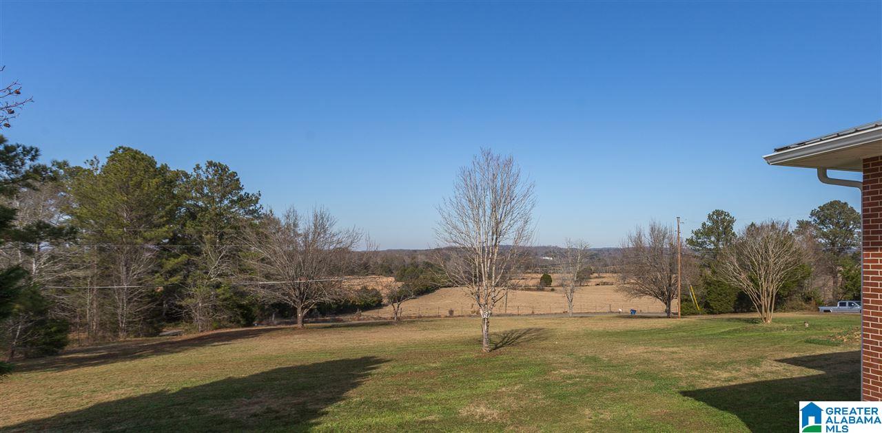 1933 Peaceful Valley Road Eastaboga, AL 36260 - Photo 37 of 40