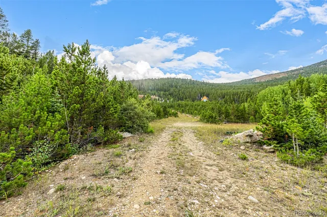 a view of a yard with a tree