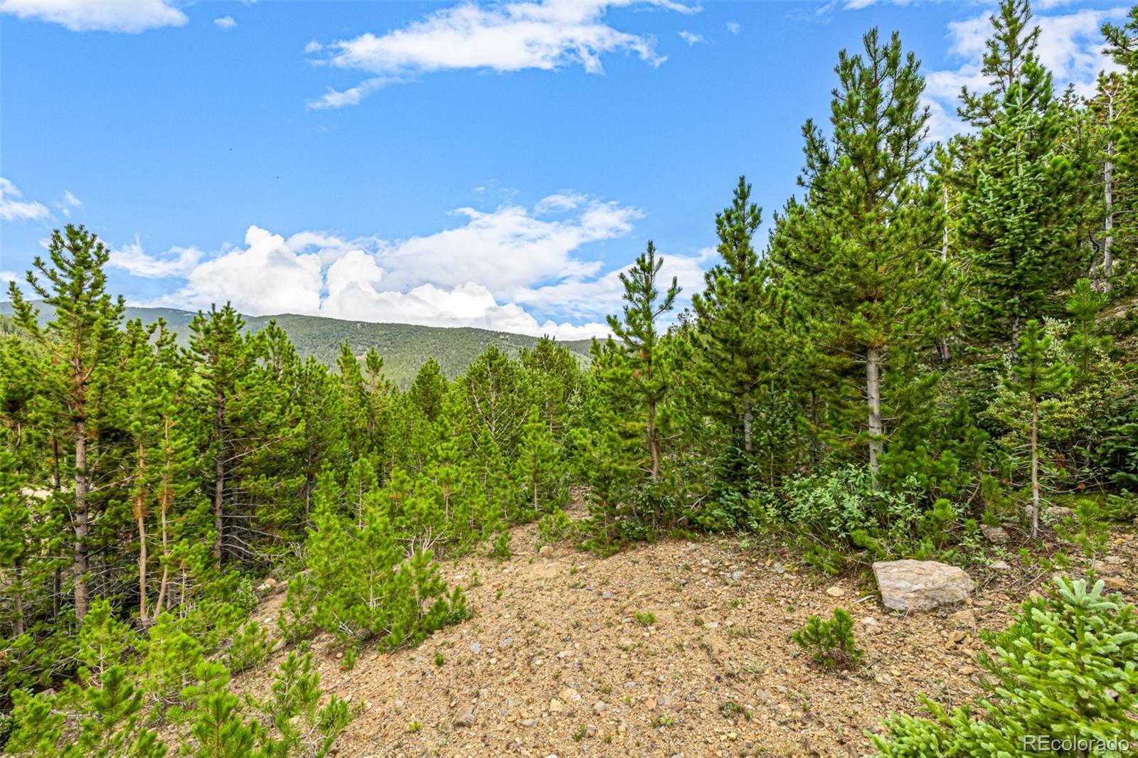 Aspen Road Idaho Springs, CO 80452 - Photo 16 of 26 a view of a backyard of a house