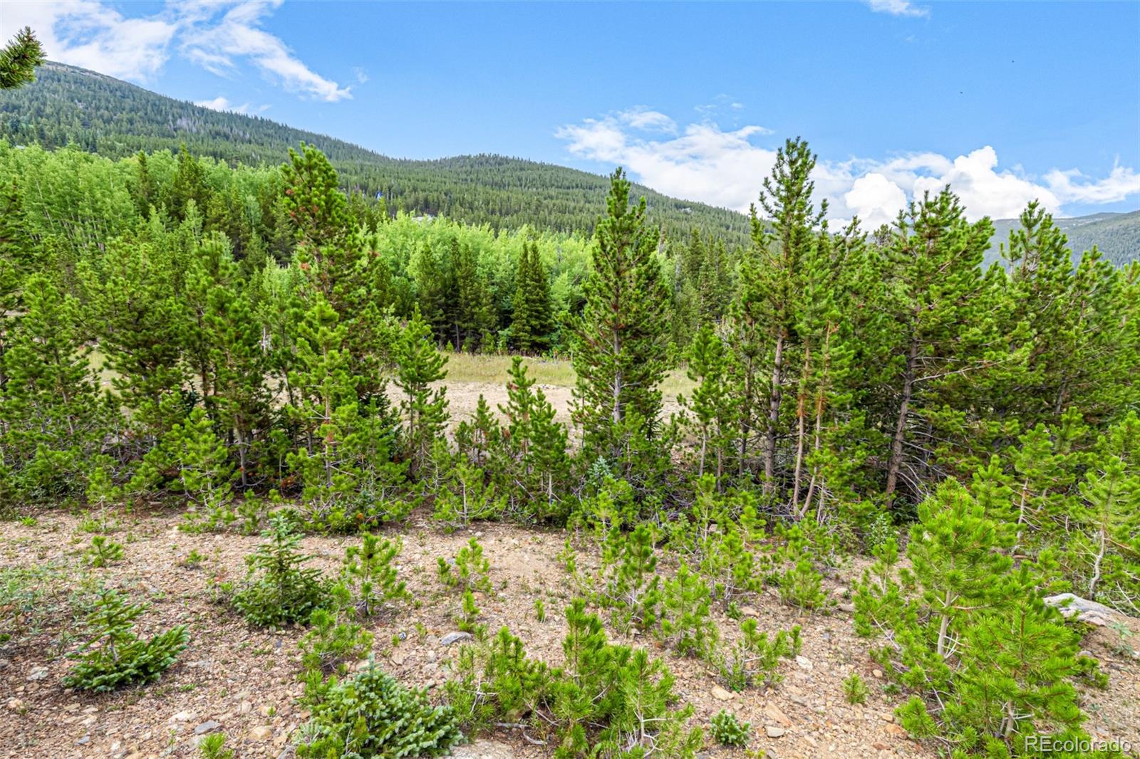 Aspen Road Idaho Springs, CO 80452 - Photo 21 of 26 a view of a garden