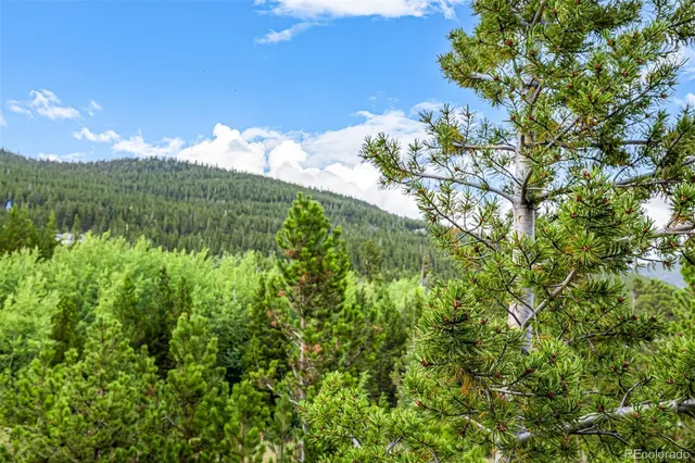 a view of a lake with a tree in a yard