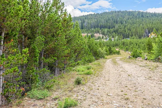 a view of a yard with plants and a bench