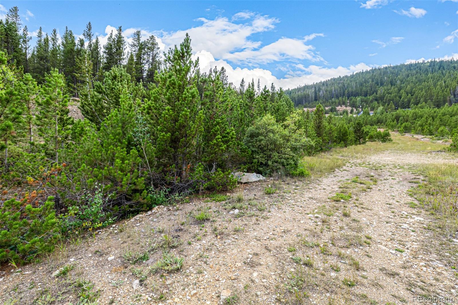 Aspen Road Idaho Springs, CO 80452 - Photo 3 of 26 a view of a plants with trees in the background
