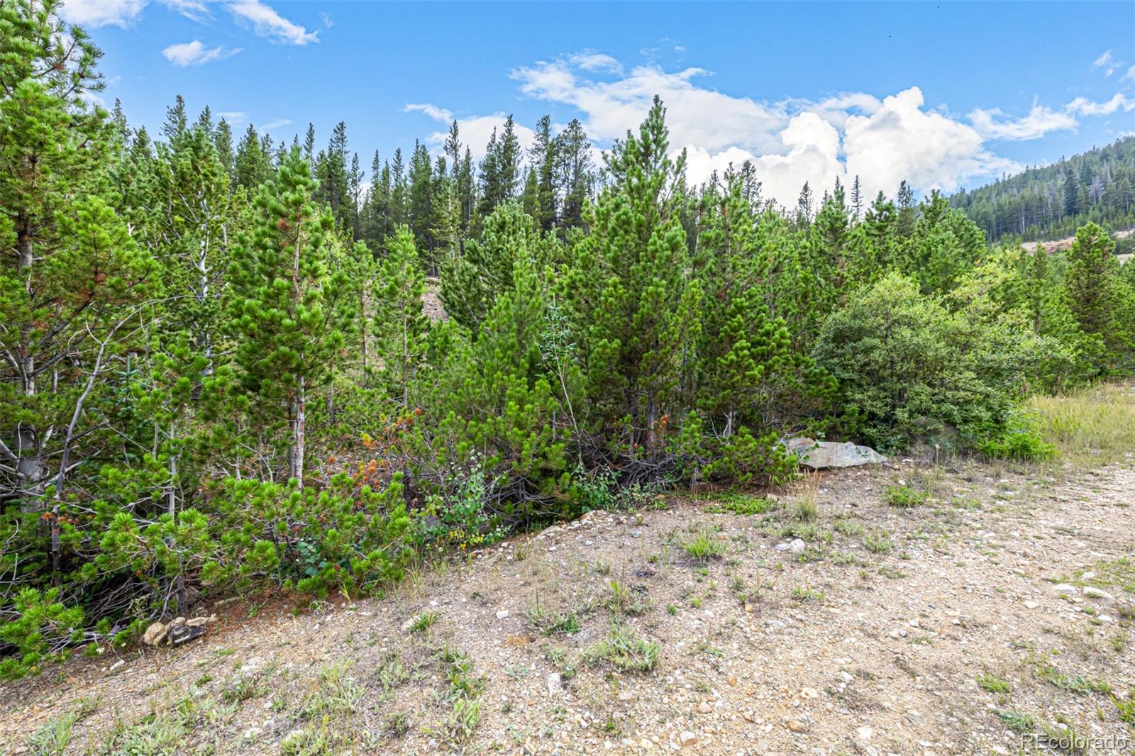 Aspen Road Idaho Springs, CO 80452 - Photo 4 of 26 a view of a pathway both side of grassy field with trees