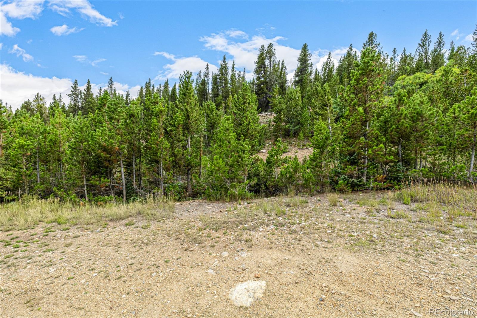 Aspen Road Idaho Springs, CO 80452 - Photo 6 of 26 a view of a water pond