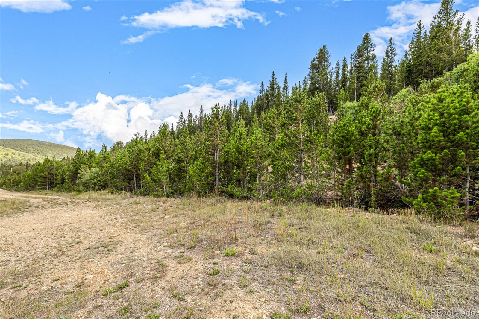 Aspen Road Idaho Springs, CO 80452 - Photo 8 of 26 a view of a yard with a house