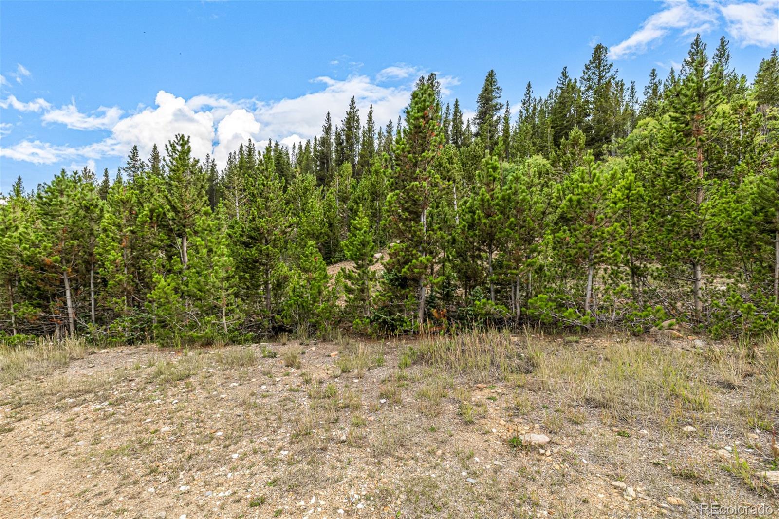 Aspen Road Idaho Springs, CO 80452 - Photo 10 of 26 a view of outdoor space and trees