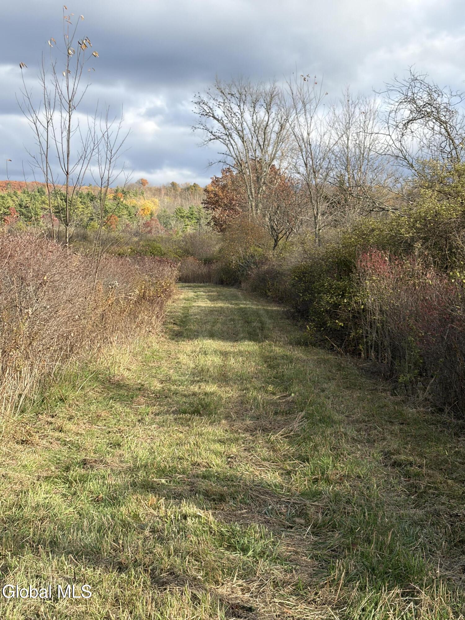 39 Valley View Way Salem, NY 12865 - Photo 2 of 13 IMG_0459