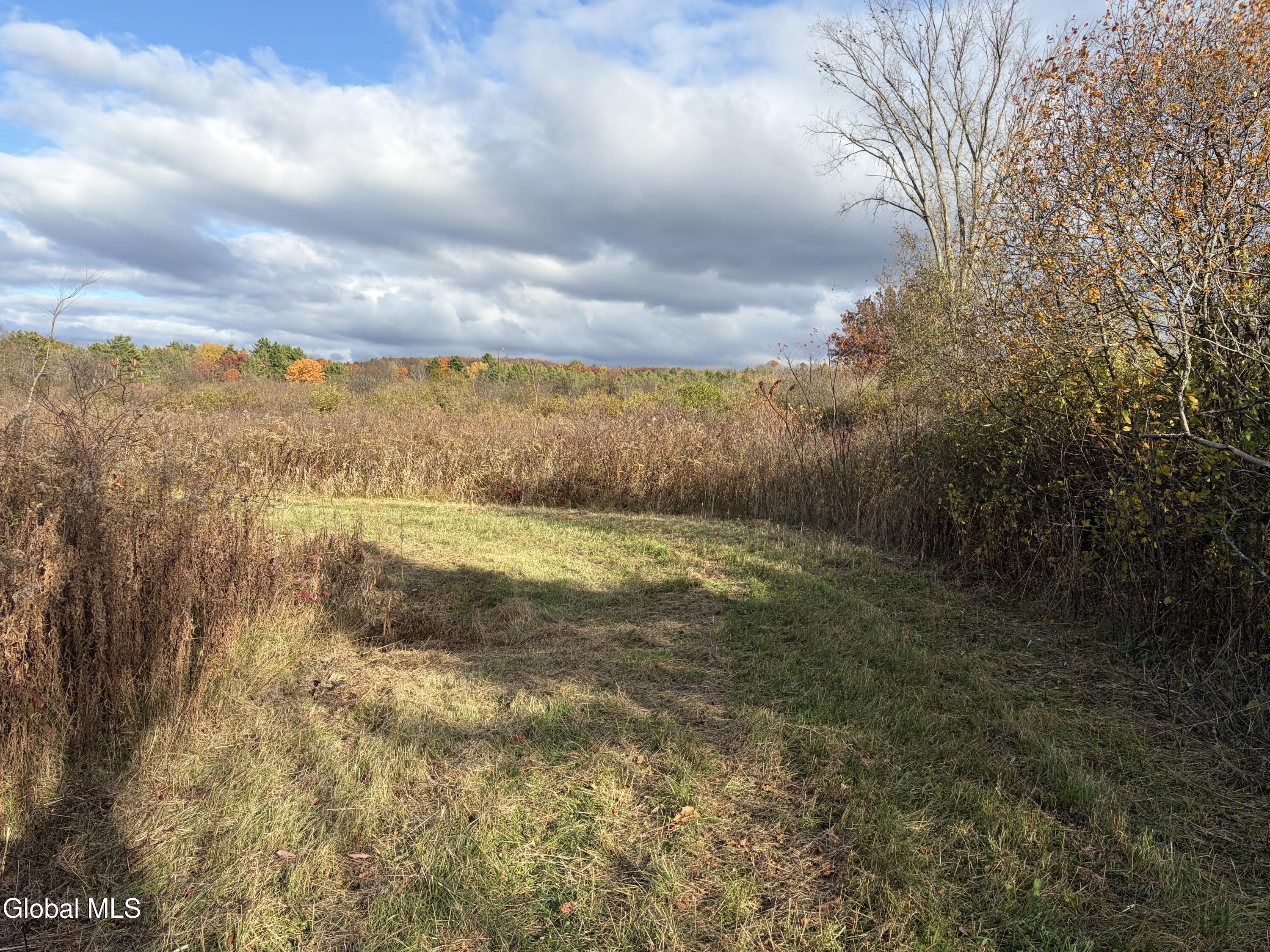 39 Valley View Way Salem, NY 12865 - Photo 3 of 13 IMG_0460