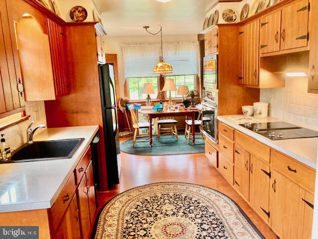 227 Lowry Road New Holland, PA 17557 - Photo 11 of 21 a view of a kitchen with kitchen island granite countertop a sink and a refrigerator