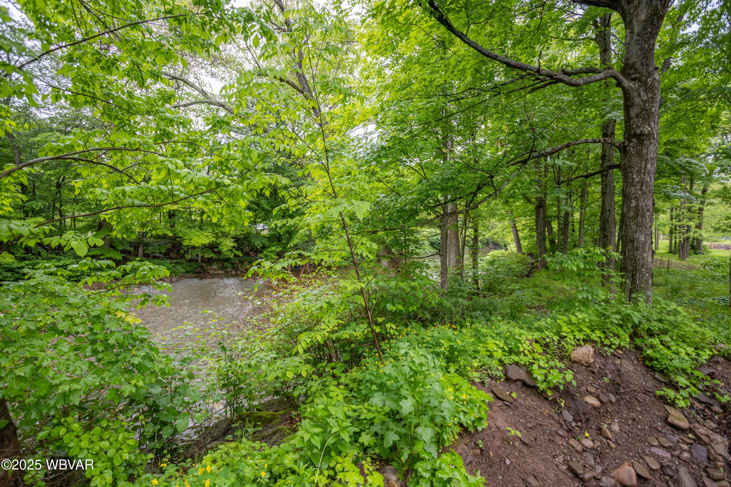 18 Valley Road Muncy Valley, PA 17758 - Photo 4 of 46 CD6A8252