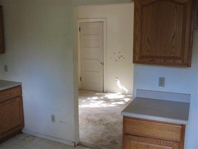 316 South Hooker Avenue Three Rivers, MI 49093 - Photo 4 of 9 Additional Photo