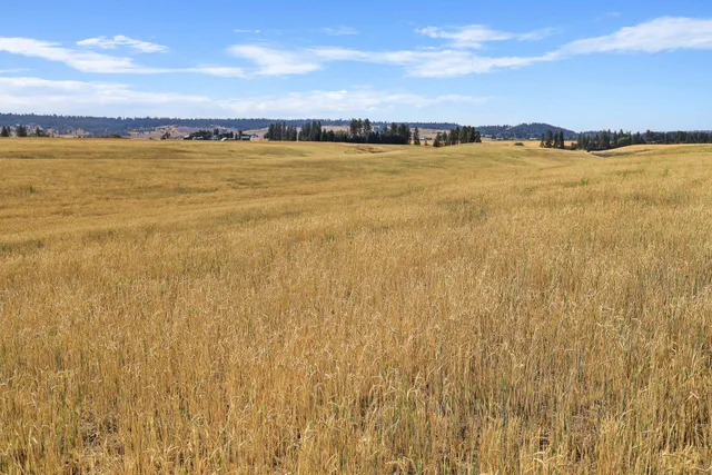 $415,000 | 8054 East Mt Spokane Park Drive, Mead, WA 99021