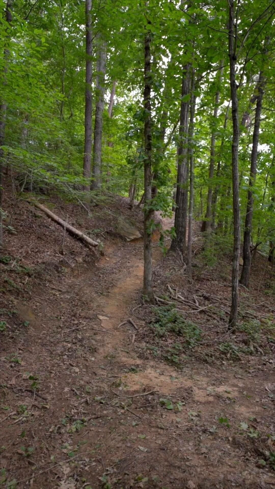 295 Sunset Way Logan, AL 35098 - Photo 14 of 18 Gallery Image 14