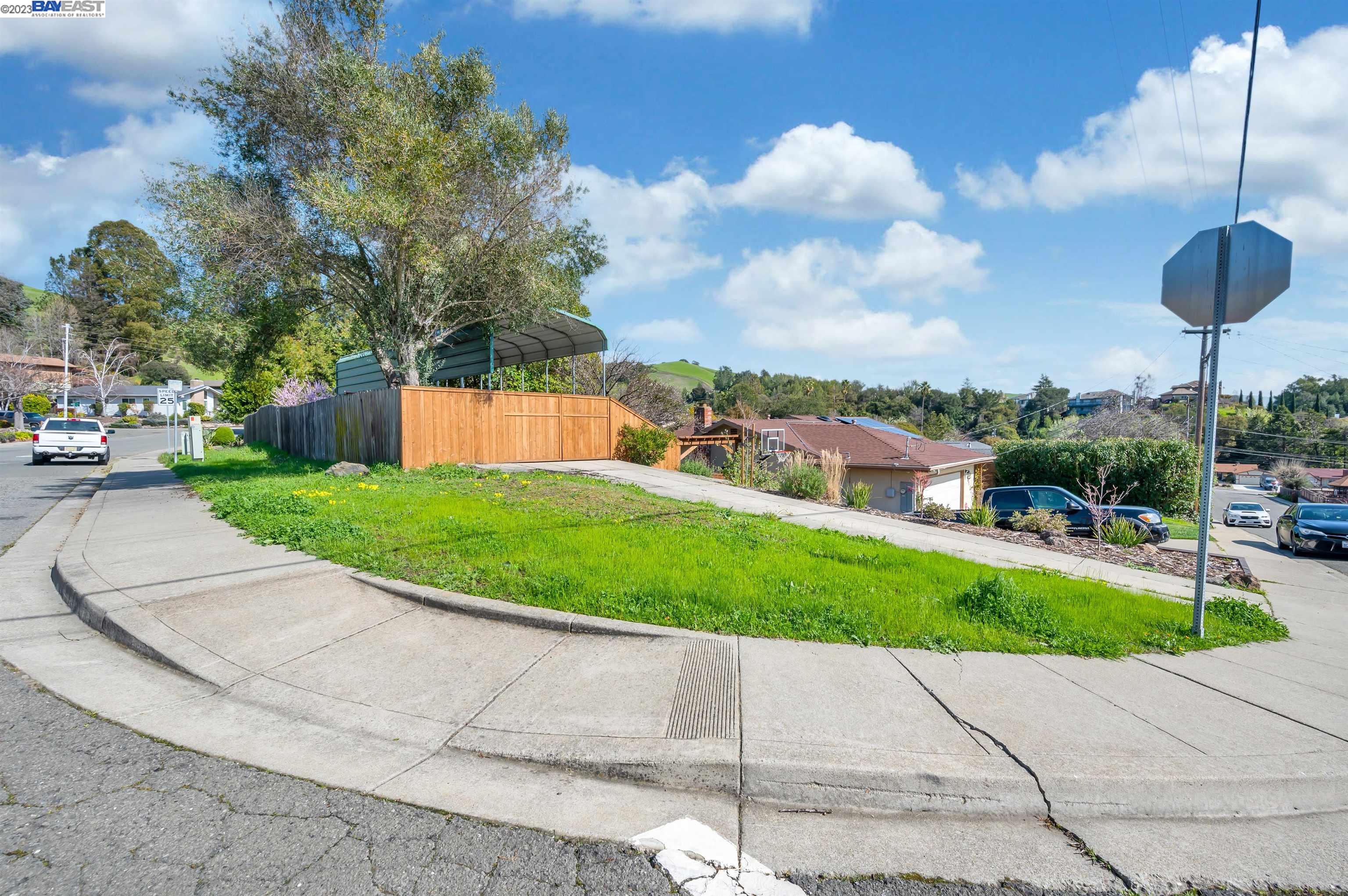 a view of a garden with a bench in a garden