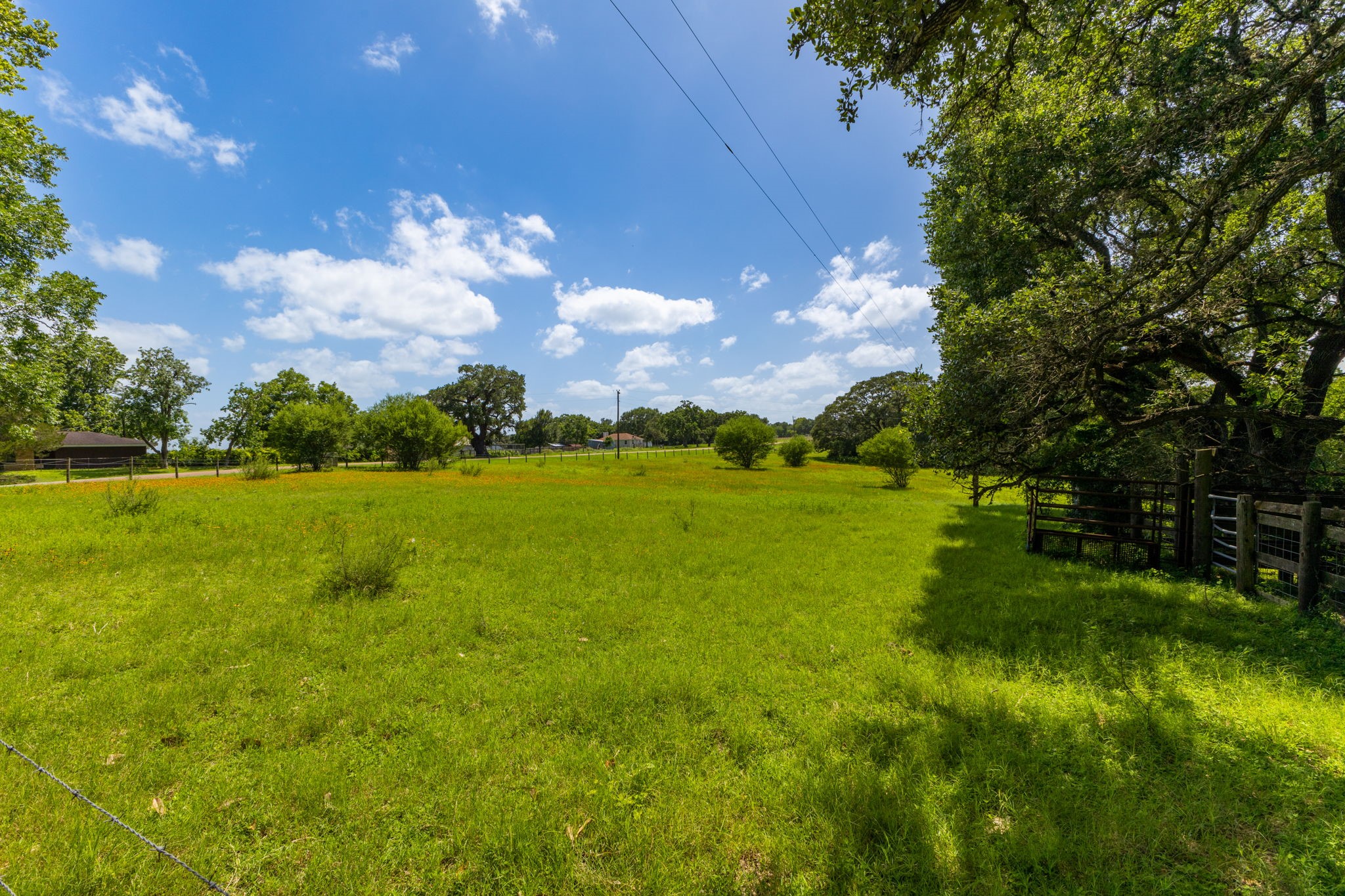3505 Brunes Mill Road Columbus, TX 78934 - Photo 43 of 49