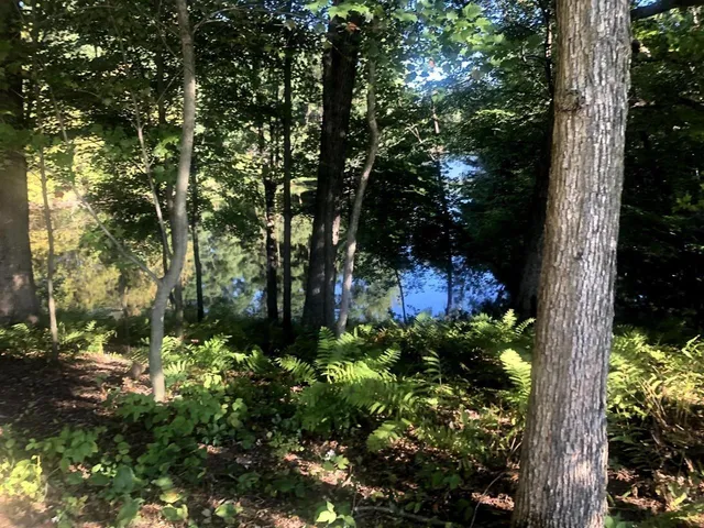 $65,000 | N1903 Virginia Drive, Waupaca, WI 54981