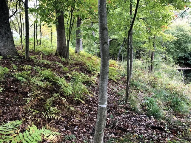 $65,000 | N1903 Virginia Drive, Waupaca, WI 54981