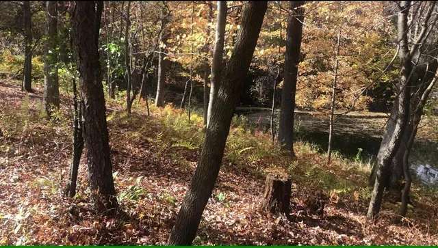 $65,000 | N1903 Virginia Drive, Waupaca, WI 54981