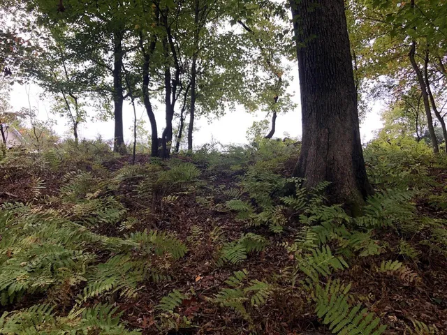 $65,000 | N1903 Virginia Drive, Waupaca, WI 54981