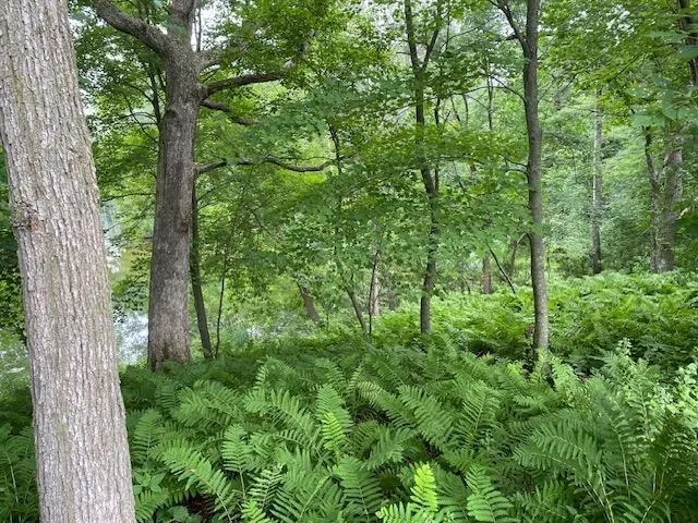 $65,000 | N1903 Virginia Drive, Waupaca, WI 54981