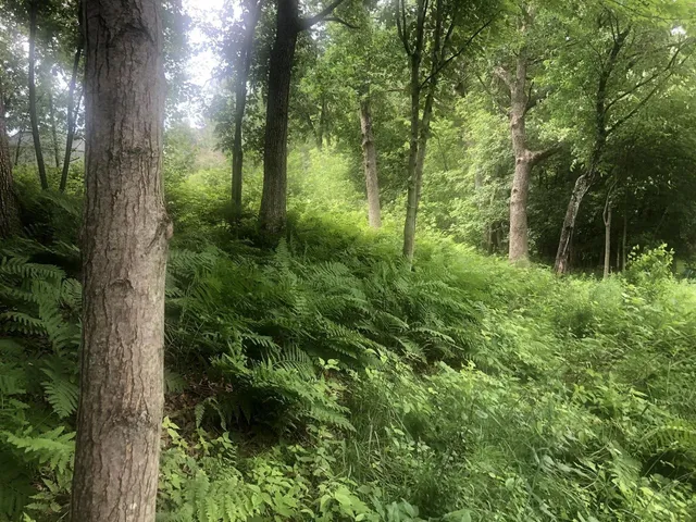 $65,000 | N1903 Virginia Drive, Waupaca, WI 54981