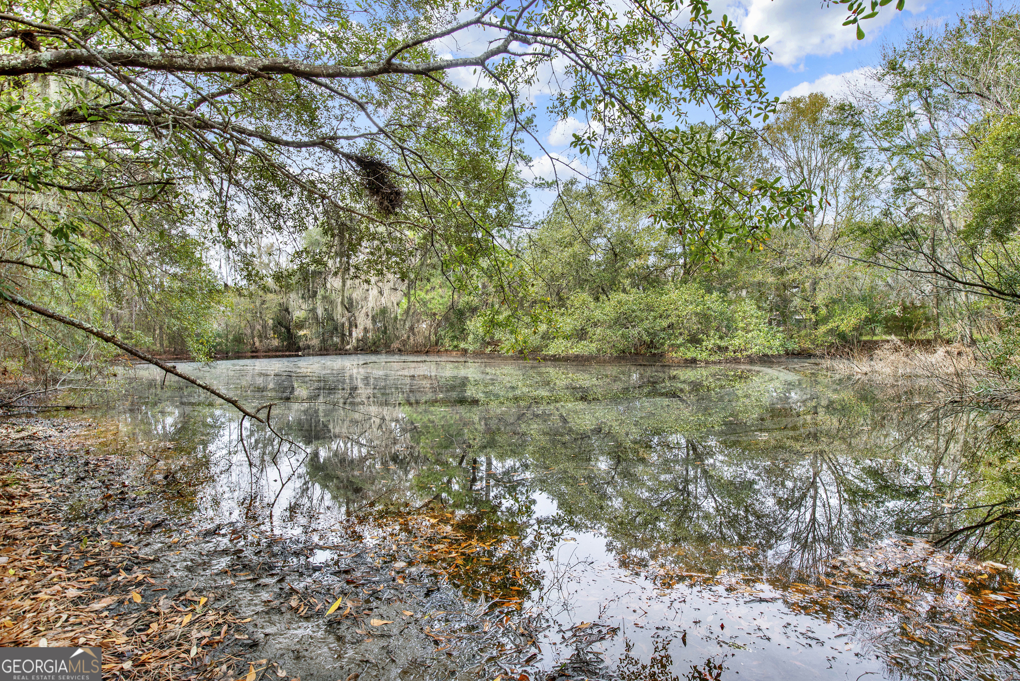 181 Burton Road Savannah, GA 31405 - Photo 3 of 33