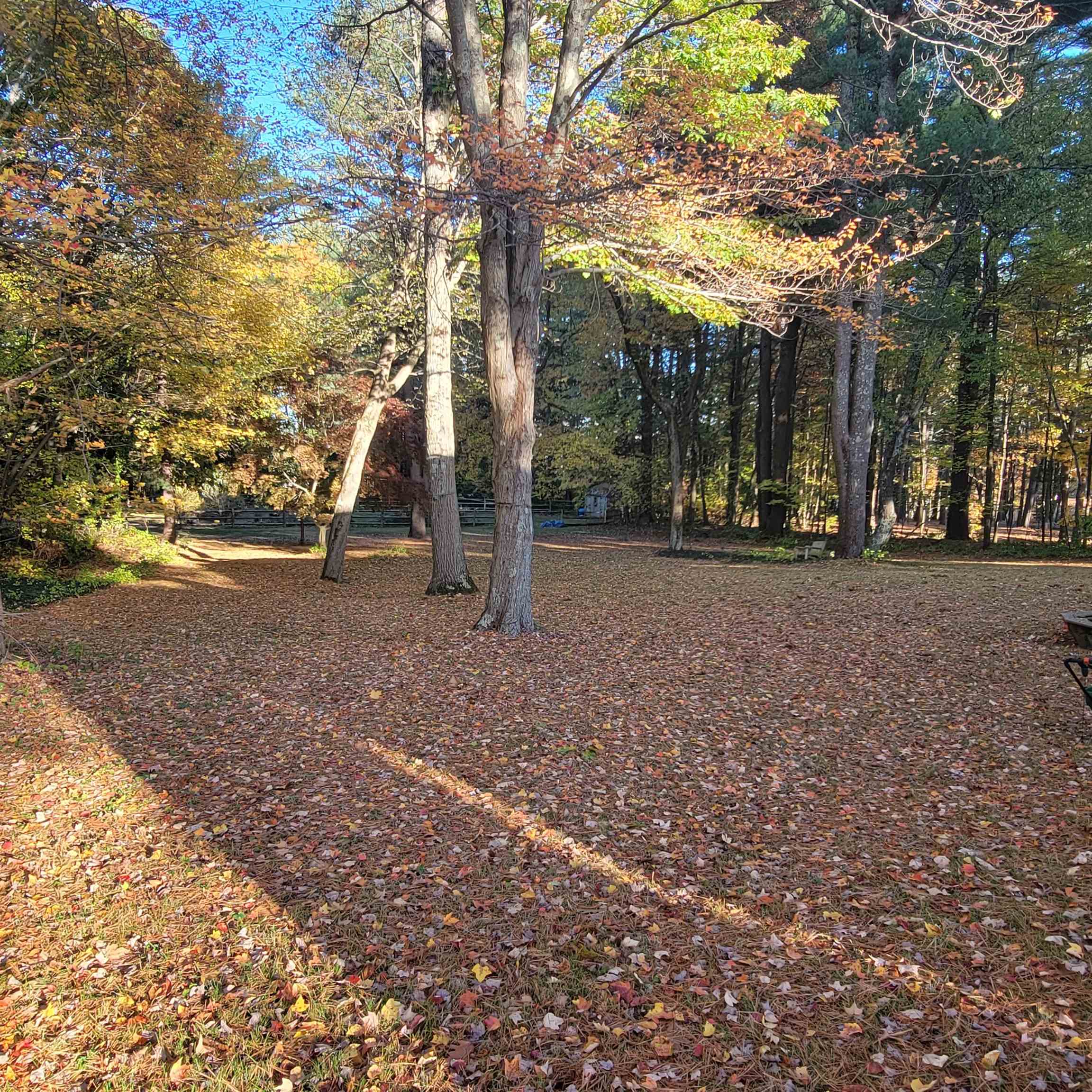 248 Dover Point Road Dover, NH 03820 - Photo 3 of 17