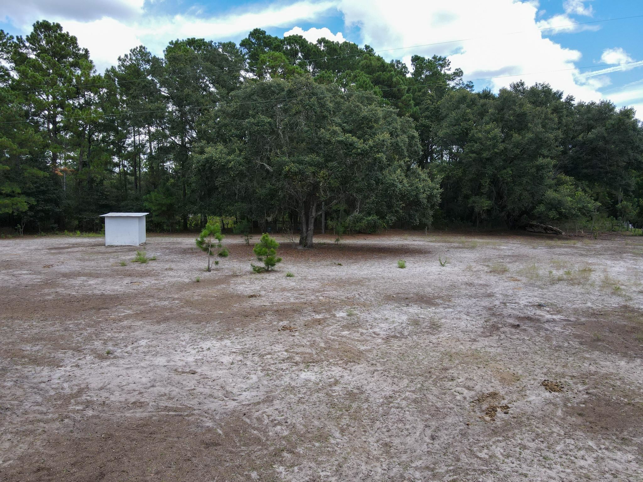 7123 Jody Morgan Road Perry, FL 32348 - Photo 1 of 31 Gallery Image 1
