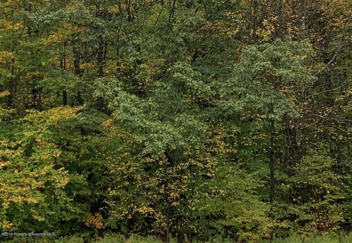 15979 Strickland Hill Road Springville, PA 18844 - Photo 2 of 2 a view of a lush green forest