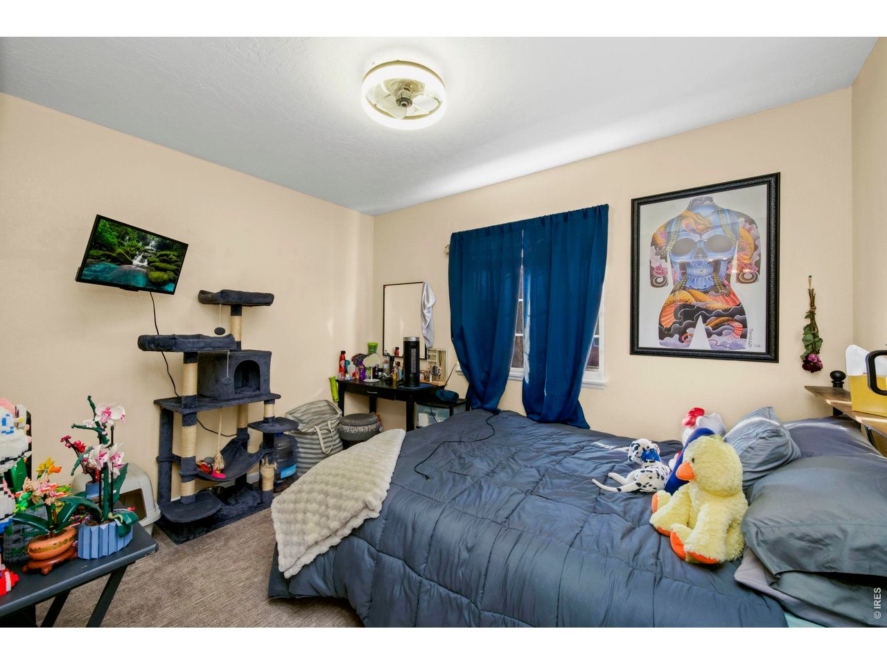 5225 West 11th Street Road Greeley, CO 80634 - Photo 9 of 17 a living room with furniture