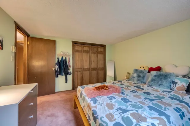 a bedroom with a bed and a dresser