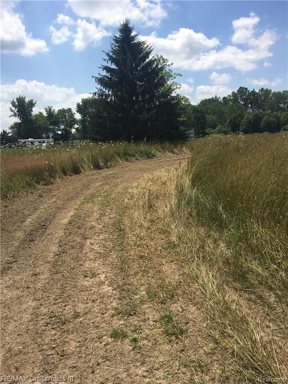 0 McCreery Road Stockbridge, MI 49285 - Photo 3 of 3