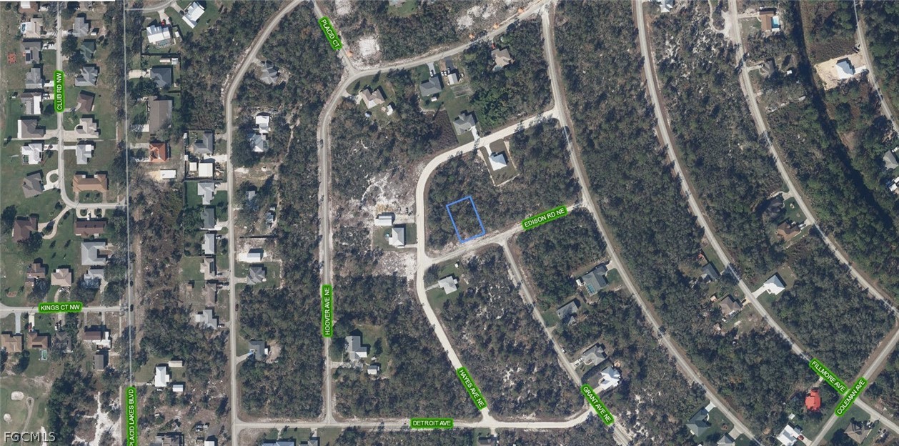 102 Edison Road Northeast Lake Placid, FL 33852 - Photo 2 of 3 a backyard of a house with lots of green space