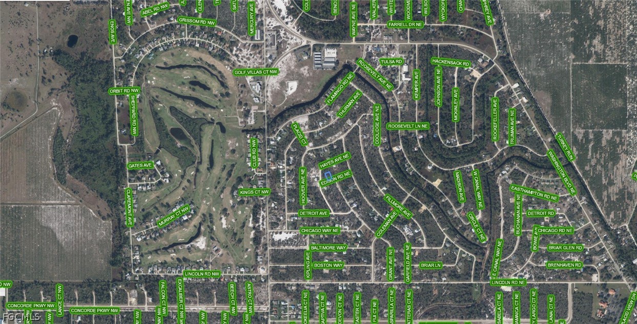 102 Edison Road Northeast Lake Placid, FL 33852 - Photo 3 of 3