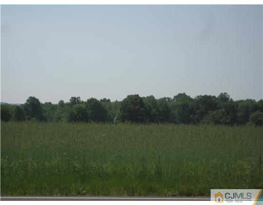 211 Lambertson Road Old Bridge, NJ 07747 - Photo 18 of 19 a view of a field with trees in the background