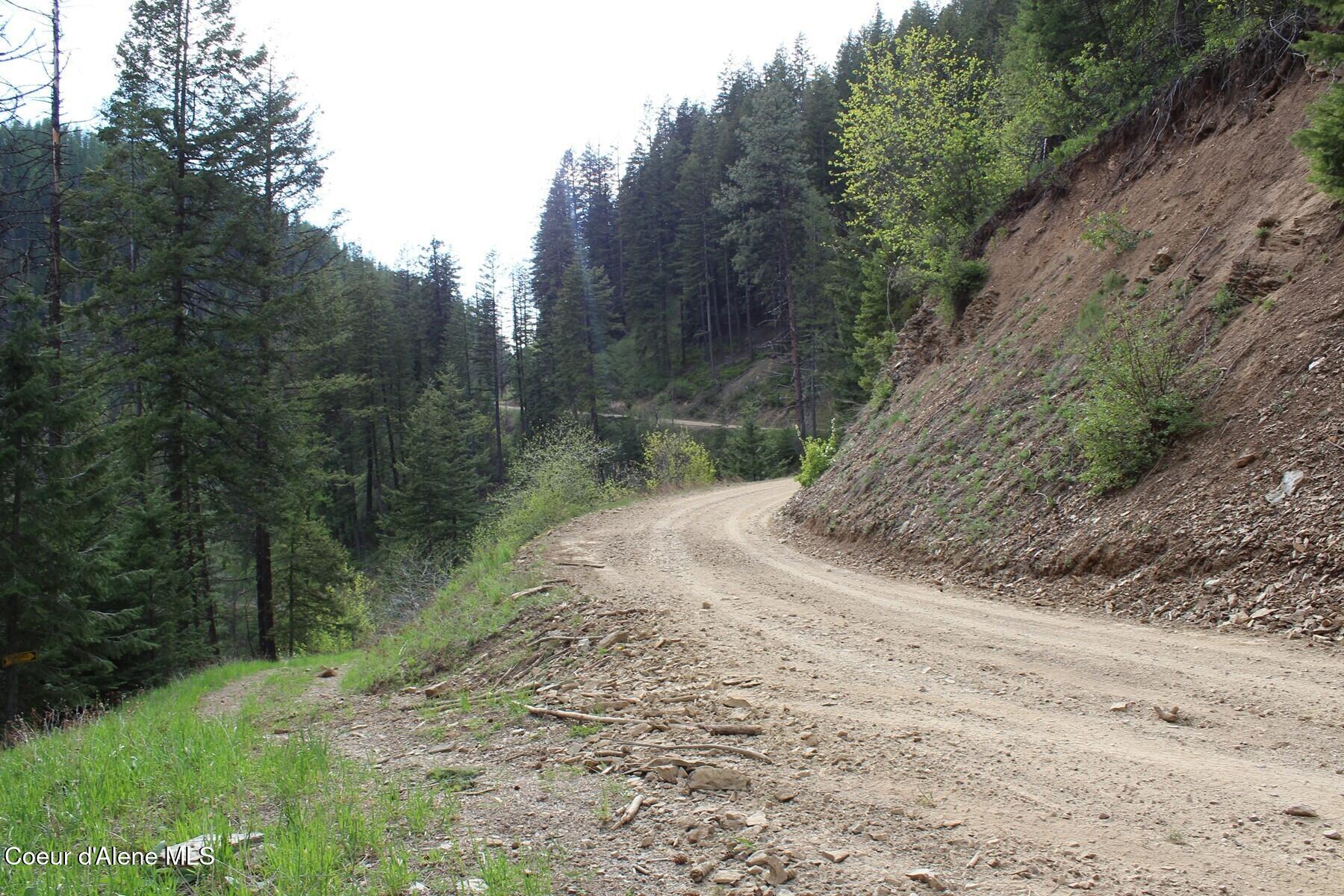 19 A Daisy Gulch Road Mullan, ID 83846 - Photo 23 of 33 USFS Path turn off Daisy Gulch