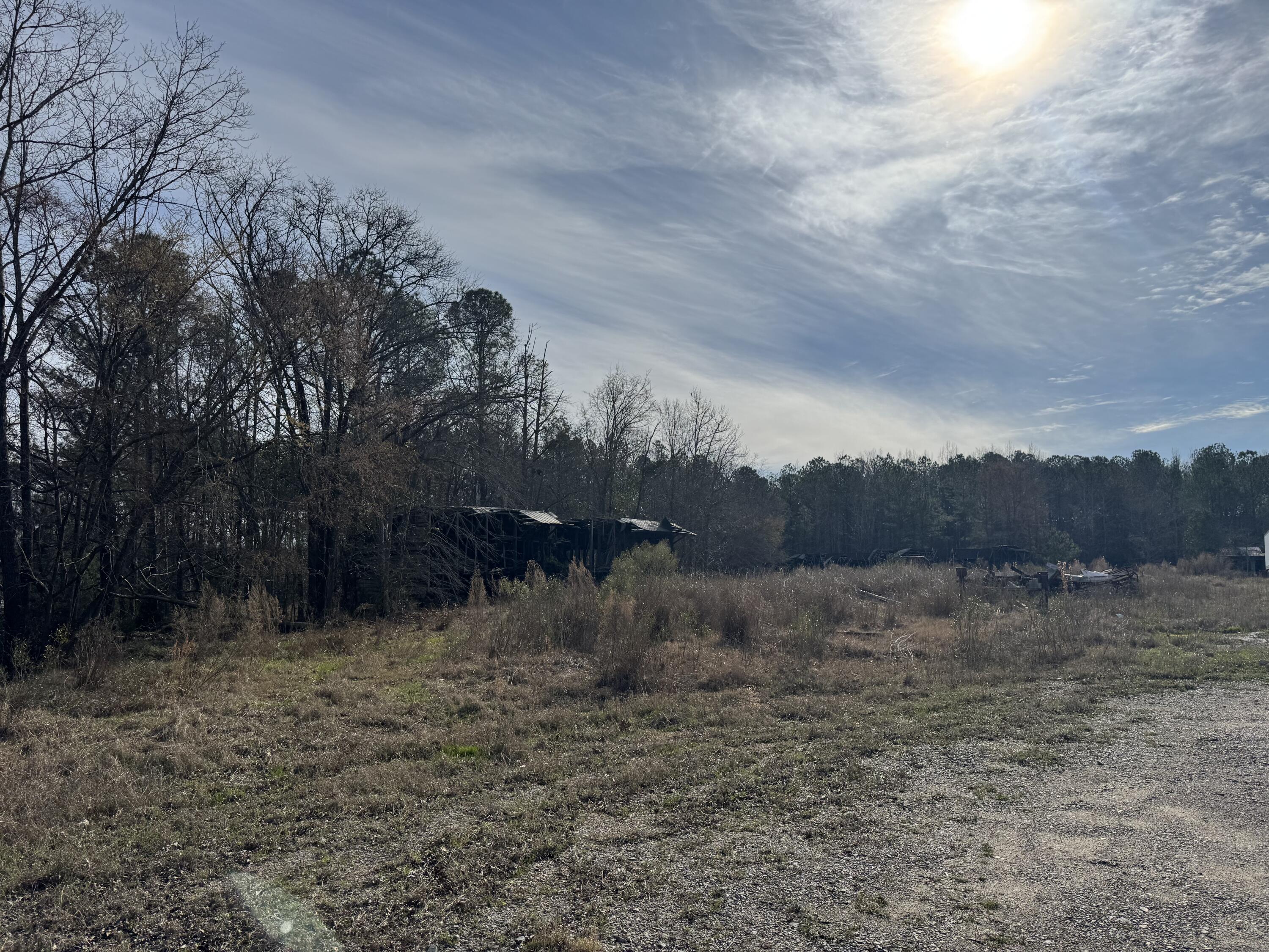 1 Planer Road Edgefield, SC 29824 - Photo 5 of 13