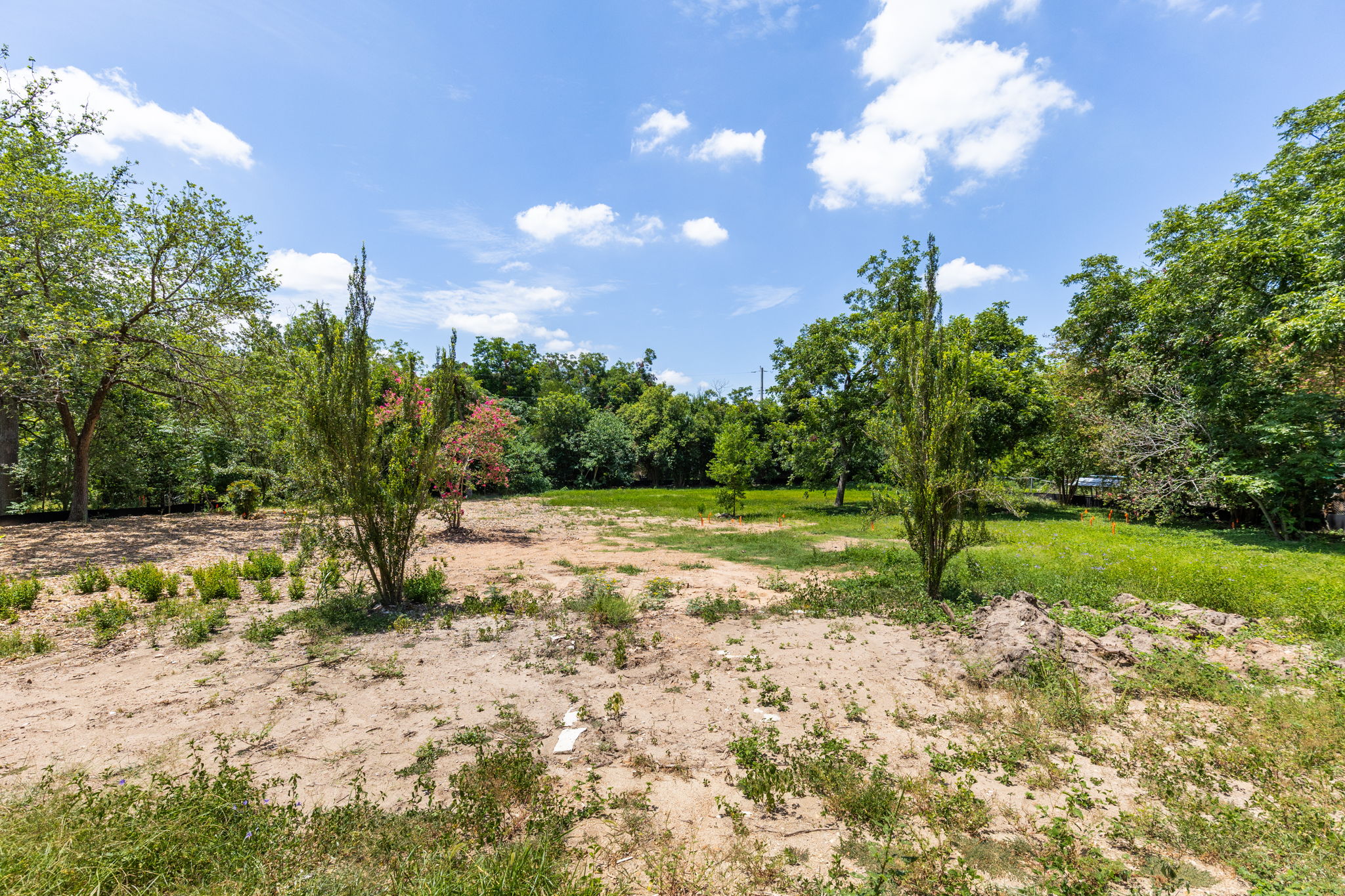 4801 Ledesma Road Austin, TX 78721 - Photo 15 of 24 A spacious, partially cleared lot offers abundant potential for building amidst mature trees and natural surroundings.
