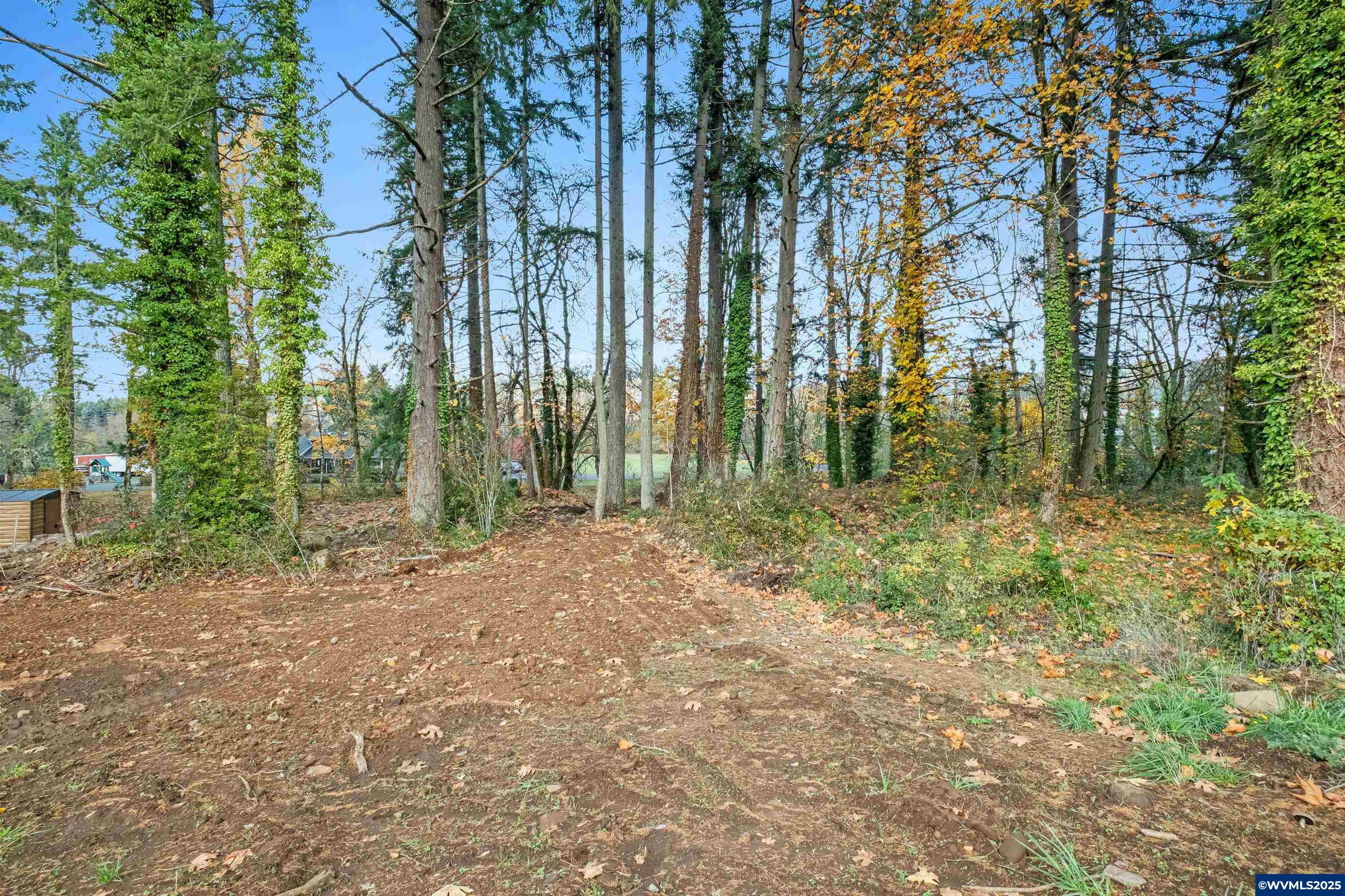 17857 South Abiqua Road Northeast Silverton, OR 97381 - Photo 4 of 5