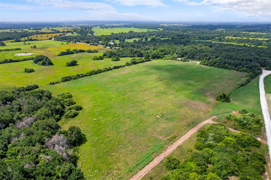 2874 Old Boone Prairie Road Franklin, TX 77856 - Photo 11 of 13 a view of a lush green field