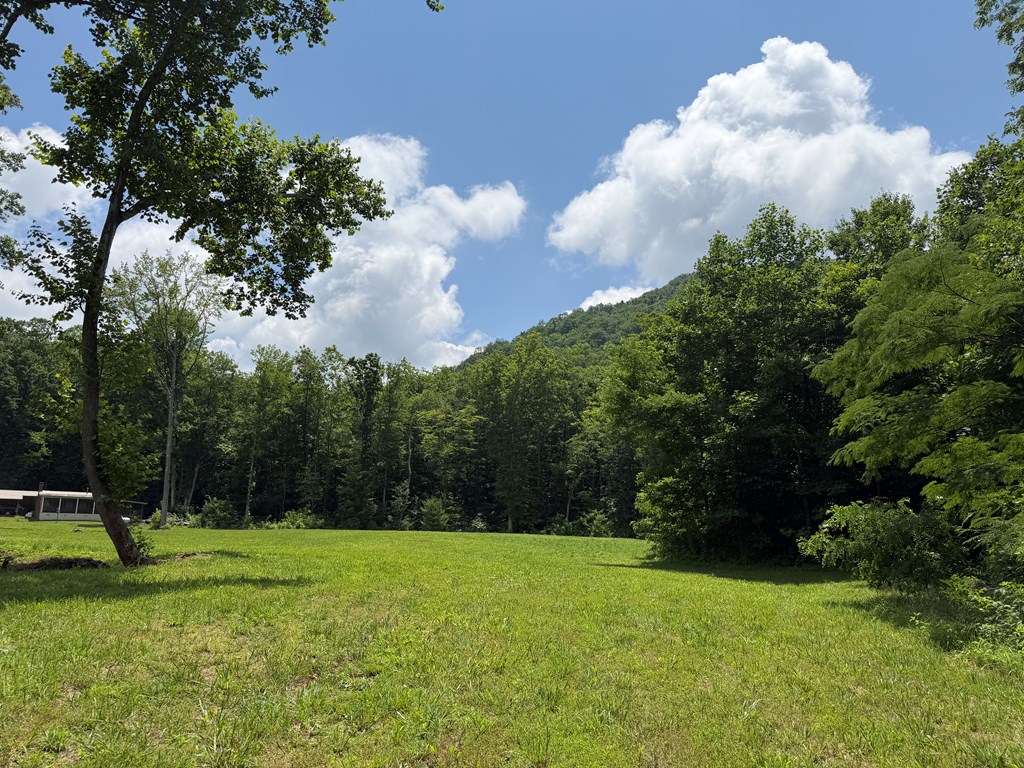 1446 Muskrat Creek Road Hayesville, NC 28904 - Photo 67 of 108