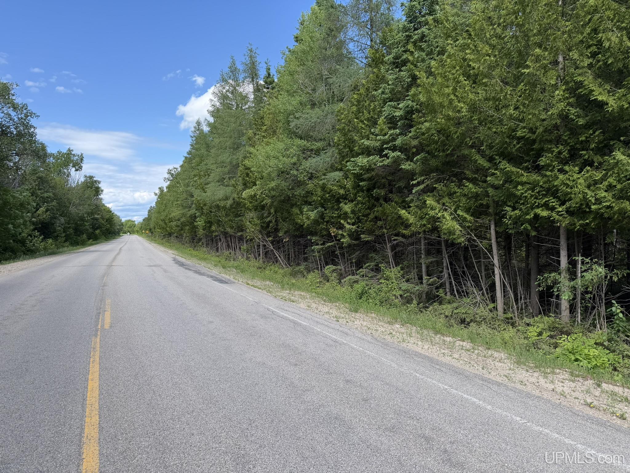 H33 Rd Gould City Mi 49838 Road Gould City, MI 49838 - Photo 1 of 14