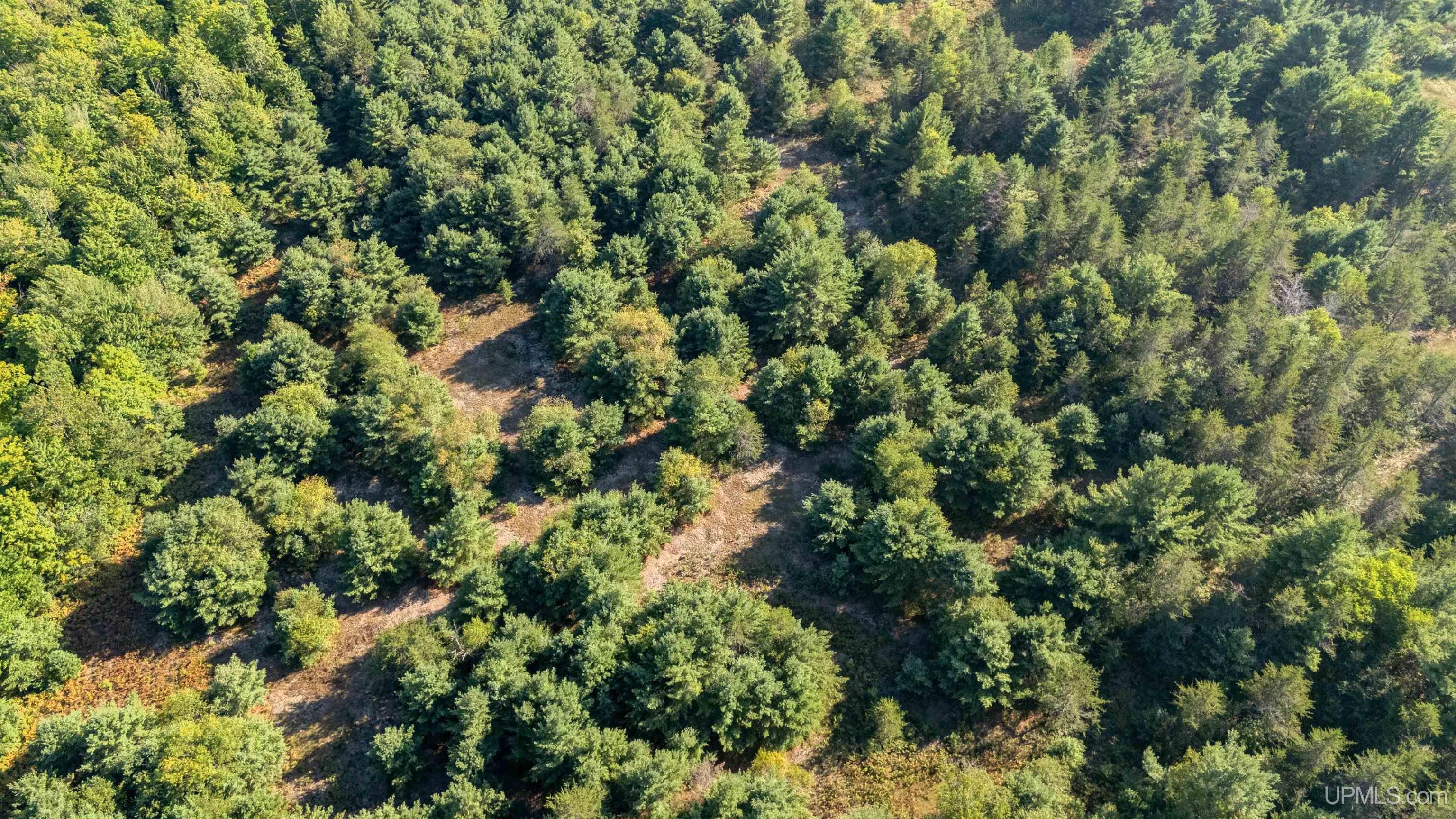 Tbd Brown Road Manistique, MI 49854 - Photo 10 of 15 Gallery Image 10